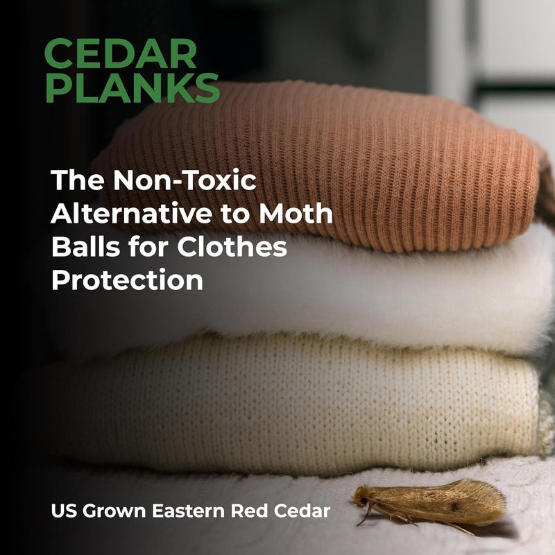 Professor Killamoth Cedar Blocks for Clothes Storage – Stop Clothes Damage - 10 Fresh Cedar Planks and Hangers to Protect Your Clothes - Image 4